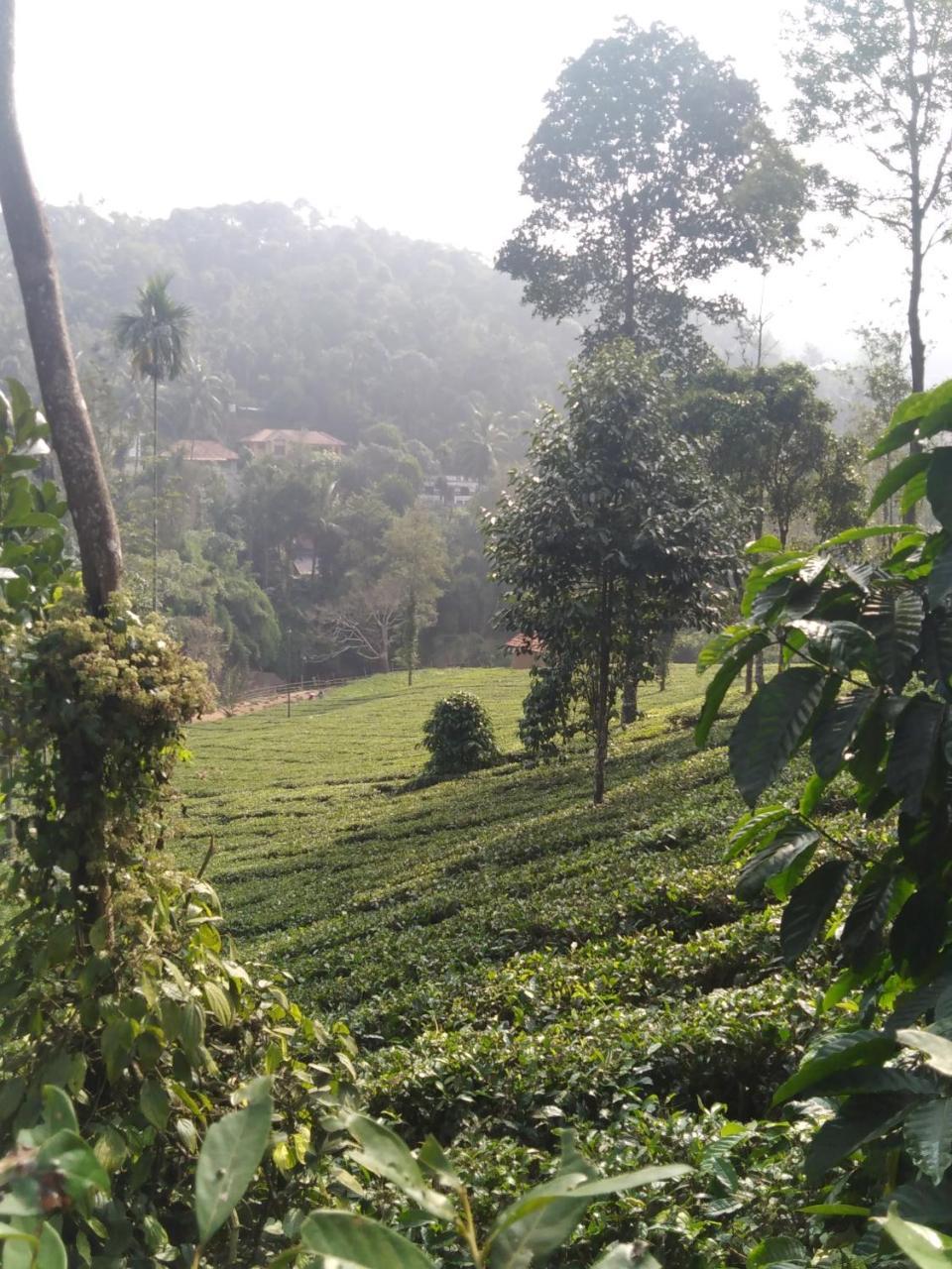 Letstay Vythiri Hill Palace Exterior foto